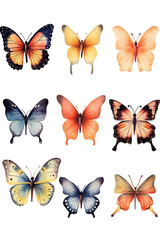 Fototapeta premium butterfly watercolor clipart cute isolated on white background