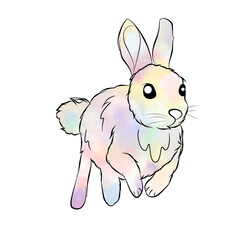 Colorful rabbit 1
