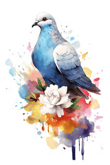 dove watercolor clipart cute isolated on white background
