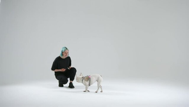 Process of training French bulldog using the come command by female young master. The woman pronounces command and pet performs it, getting food as reward. High quality 4k footage