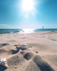 Fototapeta na wymiar shell on the sea beach 