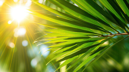 Obraz premium Blur beautiful nature green palm leaf on tropical beach with bokeh sun light wave abstract background. Generative Ai