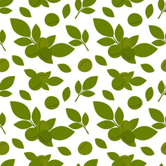 Fototapeta na wymiar Walnuts seamless pattern. Green walnuts with leaves and endless texture on white background. Vector illustration