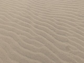 鳥取砂丘　砂の表面の美しい模様