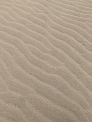 鳥取砂丘　砂の表面の美しい模様