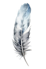 feather watercolor clipart cute isolated on white background