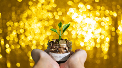 Glass jar with plant and investment label