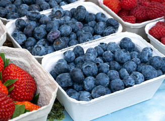 Blueberries in a Store Plastic Box, Blueberry on Market, Forest Blue Berry Pile, Fresh Blueberries in Store