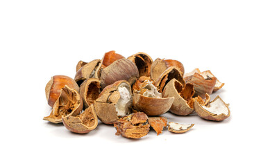 Spoiled Nuts, Mold on Nut Shells, Low Quality Toxic Products, Improper Storage, Spoiled Hazelnuts Isolated