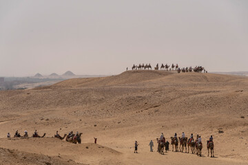 Fototapeta na wymiar Paisaje con dunas de arena y con caravanas de camellos y beduinos. Egipto 