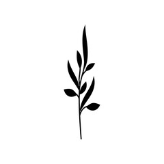 Black silhouette of a branch with a thin stem and leaves. Clipart.