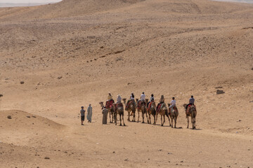 Paisaje con dunas de arena y con caravanas de camellos y beduinos. Egipto 