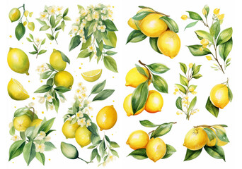 A set of illustrations in a watercolor style: flowers and lemon fruits on branches, generated by AI