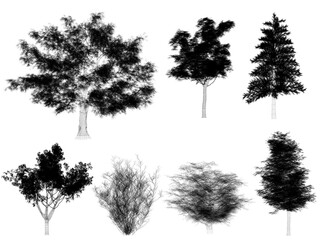 set of  trees png on white background. 3d rendering wire frame