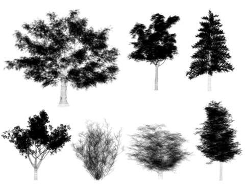 set of  trees png on white background. 3d rendering wire frame