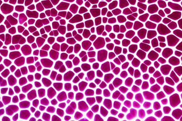 pink background with dots