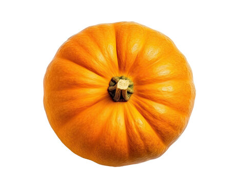 Big orange ripe pumpkin isolated on white background, top view, Generative AI