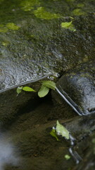 expression of mountain stream