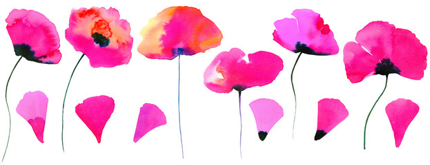 Watercolor abstract pink, red and purple poppies, hand painted. Perfect for various designs of projects. Spring and summer flowers.