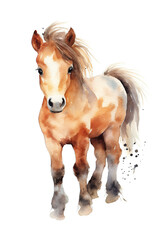 pony watercolor clipart cute isolated on white background