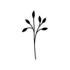Black silhouette of a herb plant with a thin stem and leaves. Clipart.