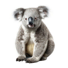 Koala isolated on white created with Generative AI