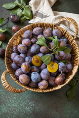 Fruit background, organic fruits. Still life food. Basket of fresh blue plums on a stone table. Copy space.
