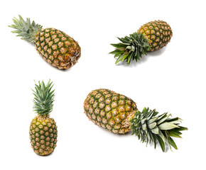 Whole Pineapple Isolated, Whole Ananas, Comosus Tropical Fruit, Ripe Pine Apple on White