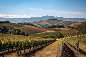 Fototapeta na wymiar vineyard with rolling hills and mountains in the background, created with generative ai