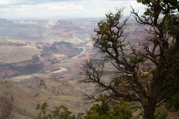 gran canyon