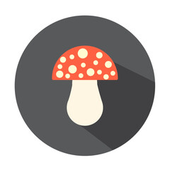 fly agaric mushrooms