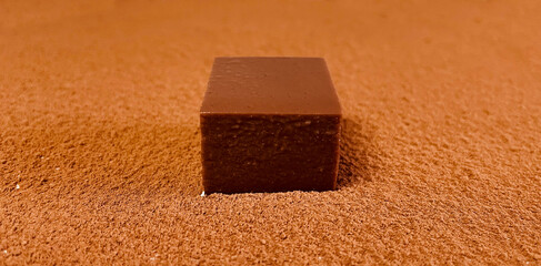 Chocolate milk dessert