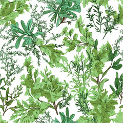 Green Herb Medley: Aromatic Delights