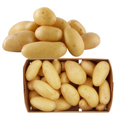 fresh raw potato isolated transparent background
