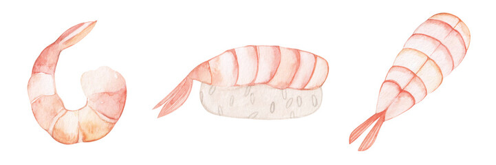 Set of watercolor illustrations of shrimp sushi. Japanese food. Asian snacks. Hand drawn.
