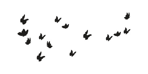 Obraz na płótnie Canvas flock of butterflies. Black and white
