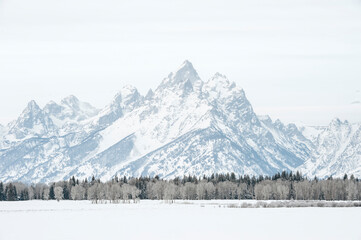 Naklejka premium Grand Teton mountains in winter
