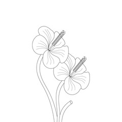 Doodle Flower Drawing Coloring Page For Adults Line Art Vector