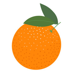 Orange fruit icon. Flat illustration of orange fruit vector.