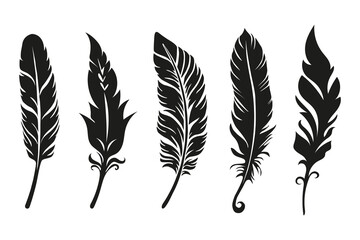 Fototapeta premium Bird Feather Vector Collection. Set of black plume silhouettes. Vector elements for design and decoration.