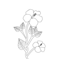Illustration Of Hibiscus Flower Coloring page Hand Drawn Vector Sketch Line Art 