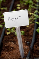 Rocket Sign in Greenhouse