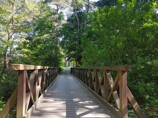 Mostek nad jeziorem Necko