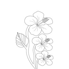 Flower Line Art Drawing Black Stroke Illustration Vector Flower