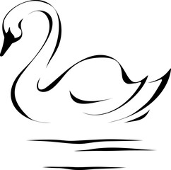 Swan. Black and white line art illustration of a swan isolated on a white background. Vector illustration