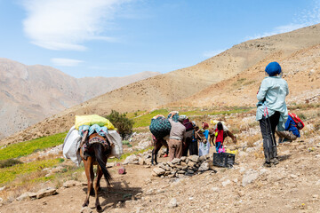 nomadic Shepard family packing their mules and horses to take their kettle to the more fertile, richer land 