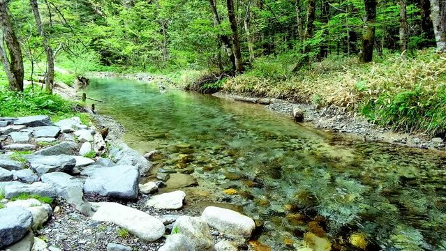 澄んだ小川の流れ、上高地、徳沢