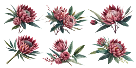 Tuinposter Watercolor protea flowers with leaves. Generative Ai  © Vika art