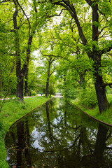 An artificial canal in a Dresden park surrounded by trees mirrored in the water