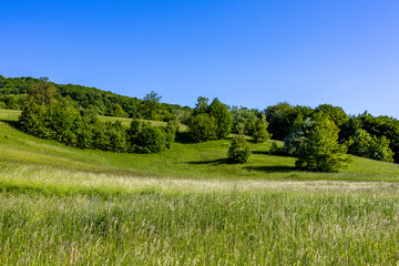 Calm and sunny spring day in countryside 